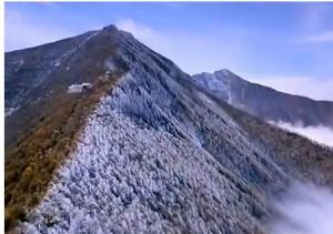 台灣五大山脈 台灣五大山脈