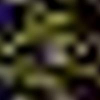 IC 1351 GALEX 彩色圖