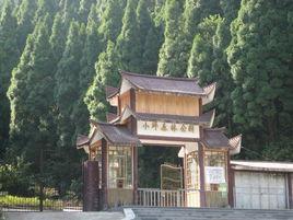 廈門小坪森林公園 廈門小坪森林公園