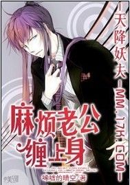 天降妖夫:麻煩老公纏上身 天降妖夫:麻煩老公纏上身