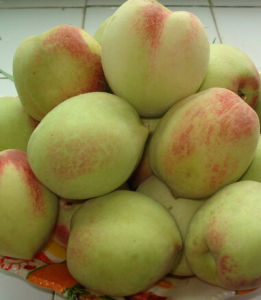 翁江九仙桃 翁江九仙桃