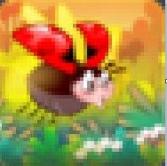 飛行的誘惑 飛行的誘惑