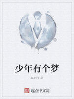 少年有個夢 少年有個夢