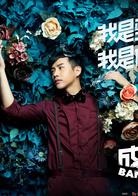 成人記[2012年柳廣輝導演電視劇]