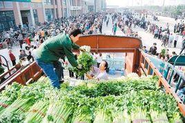 蔬菜零售直銷模式