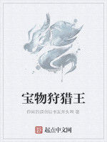 寶物狩獵王 寶物狩獵王