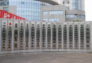 中國人民解放軍第463醫院