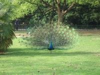 Xishuangbanna Dai Autonomous Prefecture