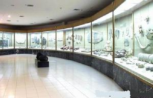 浙江自然博物館