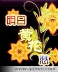 明日黃花愁 明日黃花愁
