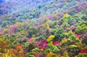 普定火焰山 普定火焰山