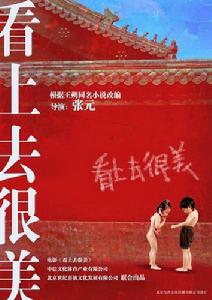 看上去很美[中國2006年張元執導劇情電影]