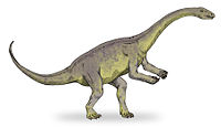 大椎龍科（Massospondylidae）是原蜥腳下目的一科，是群長頸部的草食性恐龍。大椎龍科可能包含科羅拉多斯龍、冰河龍、祿豐龍、大椎龍、雲南龍、金山龍、以及遠食龍。近年的系統發生學研究認為大椎龍科包含：科羅拉多斯龍、祿豐龍、大椎龍，可能還有冰河龍與遠食龍。大椎龍科化石時期： 晚三疊紀到早侏羅紀 PreЄЄOSDCPTJKPgN 祿豐龍 科學分類 界： 動物界 Animalia 門： 脊索動物門 Chordata 綱： 蜥形綱 Sauropsida 總目： 恐龍總目 Dinosauria 目： 蜥臀目 Saurischia 亞目： 蜥腳形亞目 Sauropodomorpha 下目： 原蜥腳下目 Prosauropoda 科： 大椎龍科 Massospondylidae  屬 遠食龍 Adeopapposaurus 科羅拉多斯龍 Coloradisaurus 冰河龍 Glacialisaurus 金山龍 Jingshanosaurus 祿豐龍 Lufengosaurus 大椎龍 Massospondylus 雲南龍 Yunnanosaurus