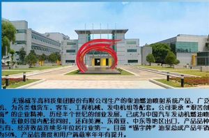 無錫威孚高科技集團股份有限公司