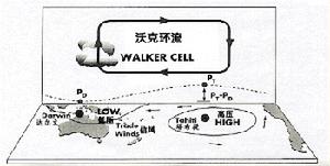 沃克環流