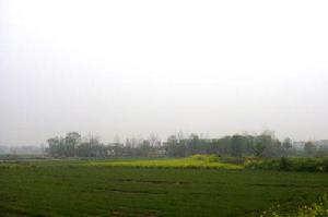 垌冢鎮鄉村風貌