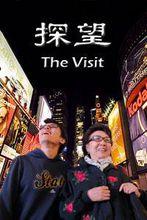 探望[2012年中國電影]