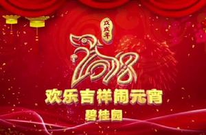 2018年中央電視台元宵晚會 2018年中央電視台元宵晚會