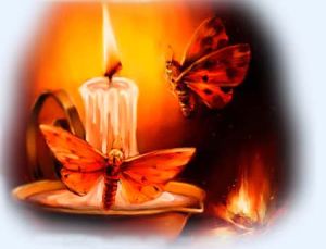 飛蛾投火 飛蛾投火