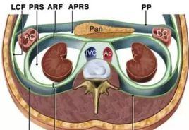 腹膜表面腫瘤 腹膜表面腫瘤