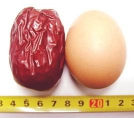 雞蛋棗 雞蛋棗