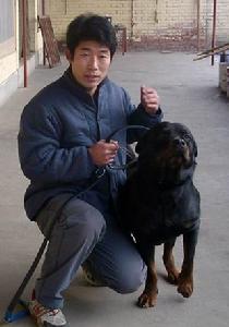 愛寵有佳羅威篇