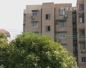 新涇六村 新涇六村