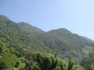 用的古自然村 用的古自然村