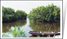 海上田園旅遊區