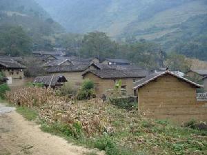 金叉河村 金叉河村