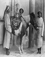 半世浮沉 半世浮沉