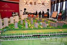 天鵝第一城實景圖