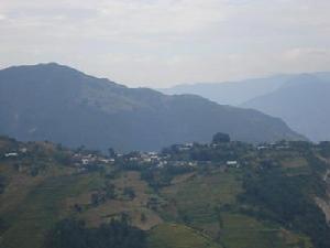 魯祖村委會 魯祖村委會