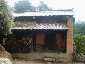 桃子凹村 桃子凹村