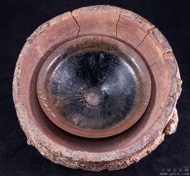 內突匣缽 內突匣缽