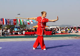 世界武術錦標賽 世界武術錦標賽