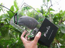 曼巴蛇4G版豪華包裝