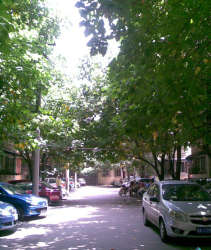 大石南路36號 大石南路36號