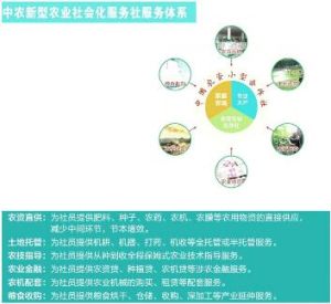 社會化服務 社會化服務