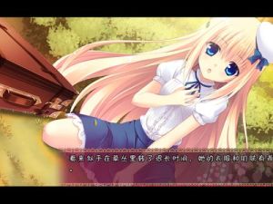 純愛探索 純愛探索