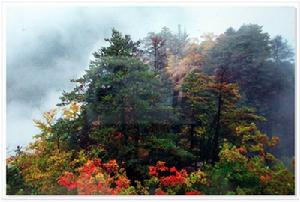 五女峰國家級森林公園
