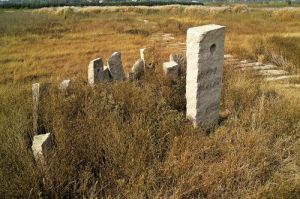 馬家浜文化遺址 馬家浜文化遺址