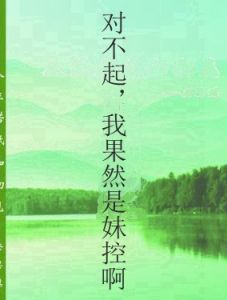 對不起,我果然是妹控啊 對不起,我果然是妹控啊