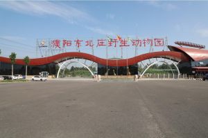 濮陽東北莊野生動物園 濮陽東北莊野生動物園