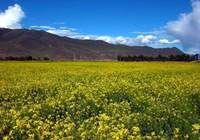 神山色季拉 神山色季拉