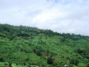 白鶯山村 白鶯山村