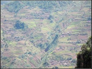 梅紅獨家村 梅紅獨家村