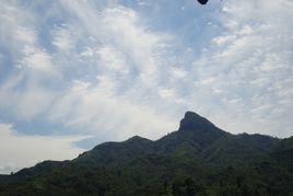 桃樹坪[邢台縣路羅鎮桃樹坪村]