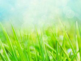 有里有面 有里有面