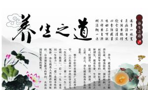 養生之道網 養生之道網